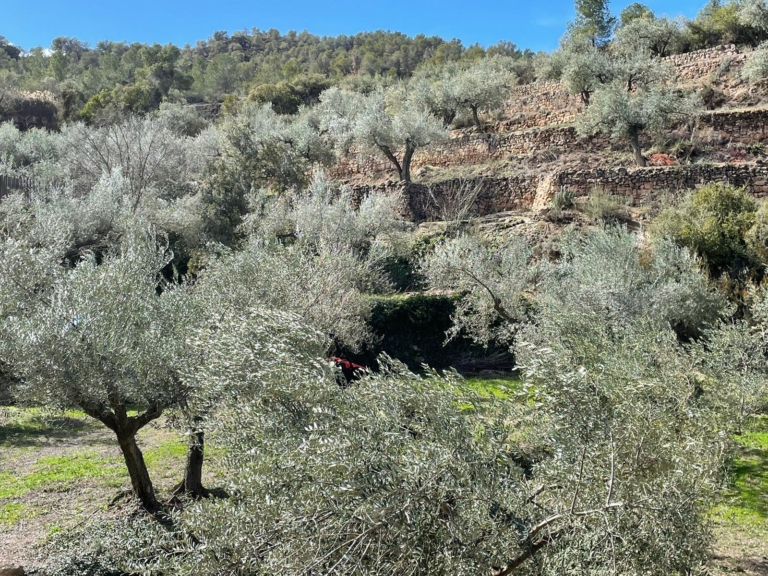 Pastura per a la Biodiversitat